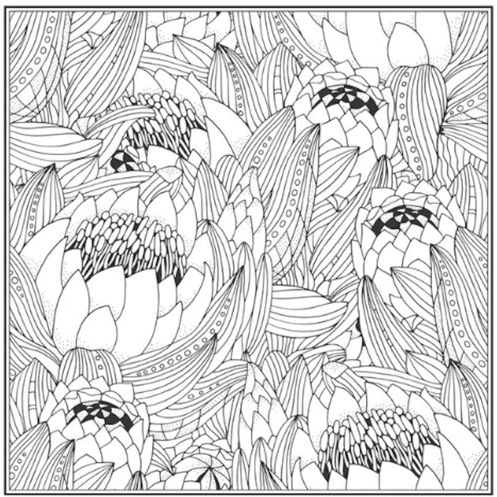 Peace Love Advanced Colouring Book - Single Assorted Intricate Designs High Quality Relaxation