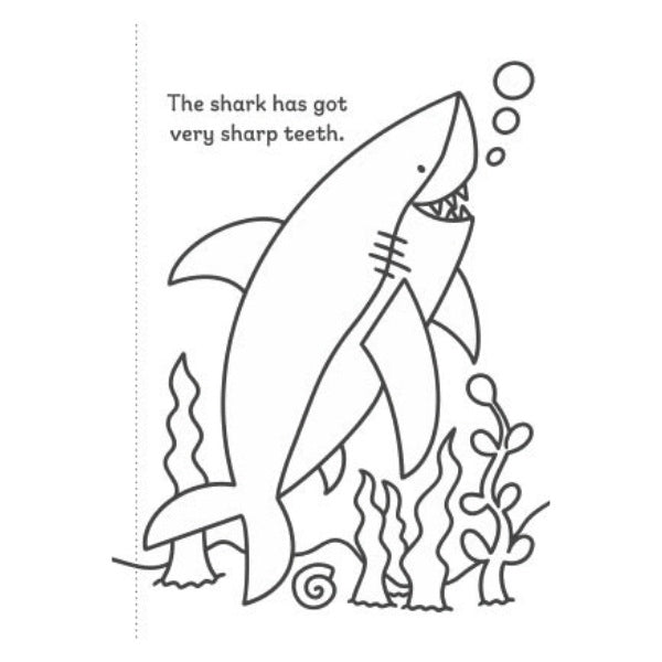 A4 My First Animal Things That Go Colouring Book - Assorted Children Animals Vehicles High Quality