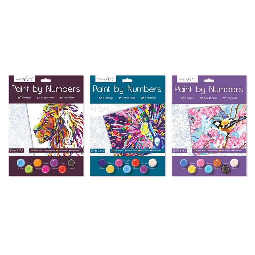 Paint By Numbers Adult - Assorted Relaxing Art Therapy Creative Craft Kit