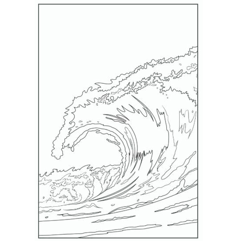A4 Patterns In Nature Advanced Colouring Book - Intricate Relaxing Art Therapy High Quality Paper Natural Patterns