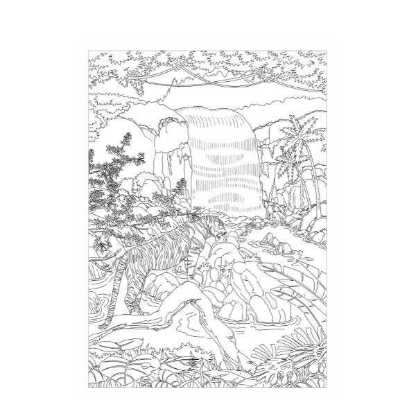 A4 Life In The Jungle Advanced Colouring Book - 22 Pages Wildlife High Quality Relaxing Art Therapy