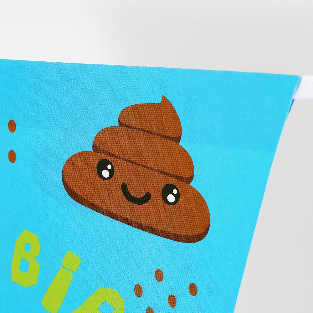 Emoji Poo Hanging 2.7m Party Bunting