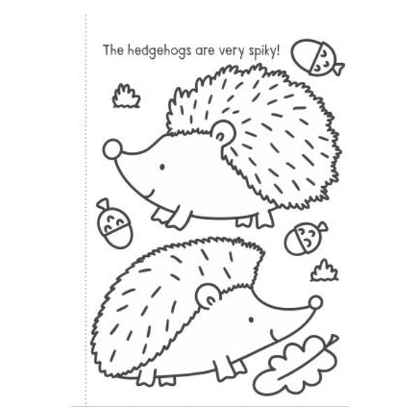 A4 My First Animal Things That Go Colouring Book - Assorted Children Animals Vehicles High Quality