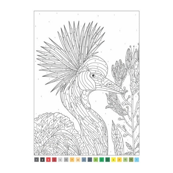 A4 Animals Nature Advanced Colour by Numbers Book - Assorted Animals Nature Scenes Artistic Fun High Quality Paper Relaxing Art Therapy