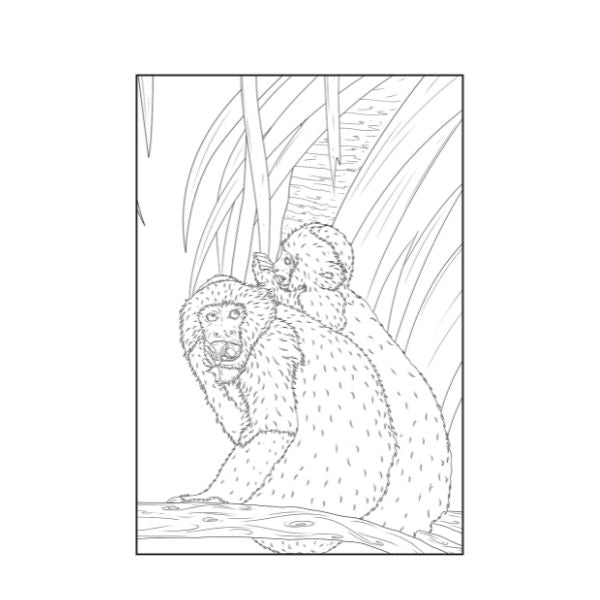 A4 Life In The Jungle Advanced Colouring Book - 22 Pages Wildlife High Quality Relaxing Art Therapy