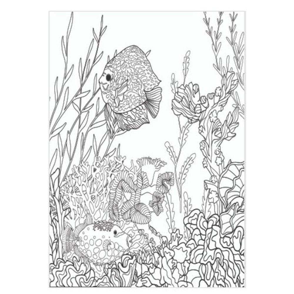 A4 Advanced Colouring Book - Assorted Detailed Designs Intricate Patterns High Quality Paper Relaxing Art Therapy