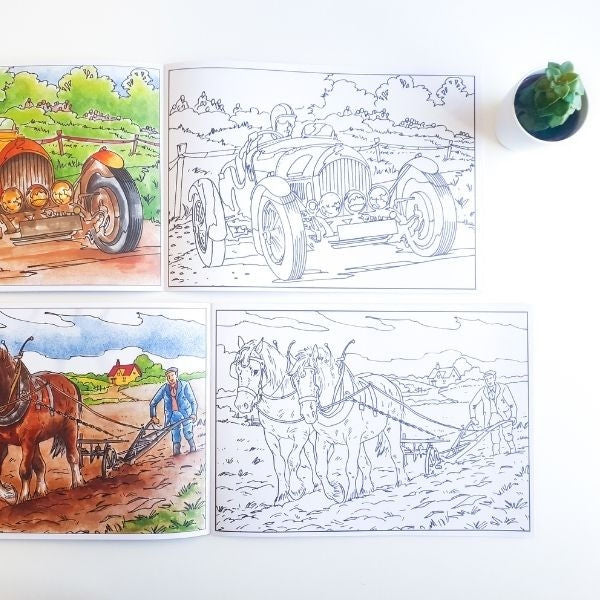 A4 Poster Arts Colouring In Book - Assorted Large Designs Colouring Fun Vibrant High Quality
