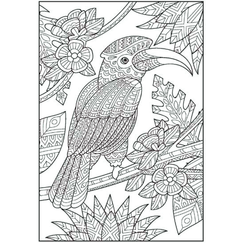 A4 Patterns In Nature Advanced Colouring Book - Intricate Relaxing Art Therapy High Quality Paper Natural Patterns