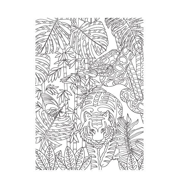A4 Life In The Jungle Advanced Colouring Book - 22 Pages Wildlife High Quality Relaxing Art Therapy