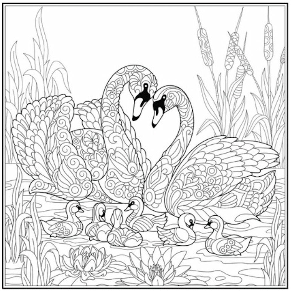 Peace Love Advanced Colouring Book - Single Assorted Intricate Designs High Quality Relaxation