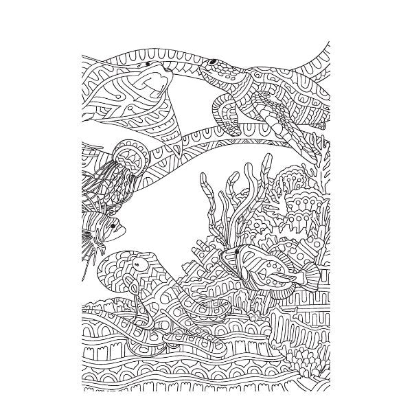 A4 Life in The Ocean Advanced Colouring Book - 22 Pages Ocean Life High Quality Relaxing Art Therapy