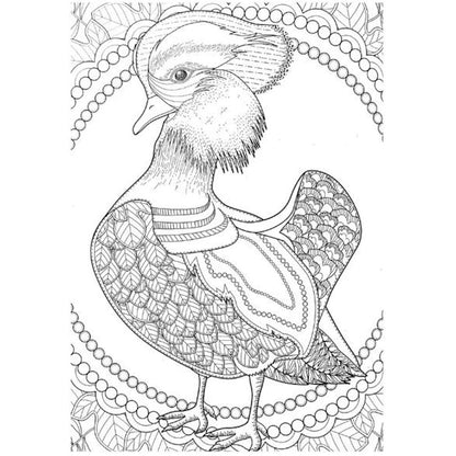 A4 Animals & Birds Adult Colouring Book - Assorted Intricate Designs Relaxing Art Therapy High Quality Paper Tranquil