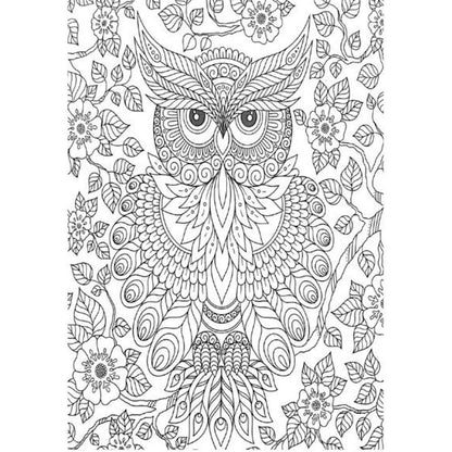 A4 Animals & Birds Adult Colouring Book - Assorted Intricate Designs Relaxing Art Therapy High Quality Paper Tranquil