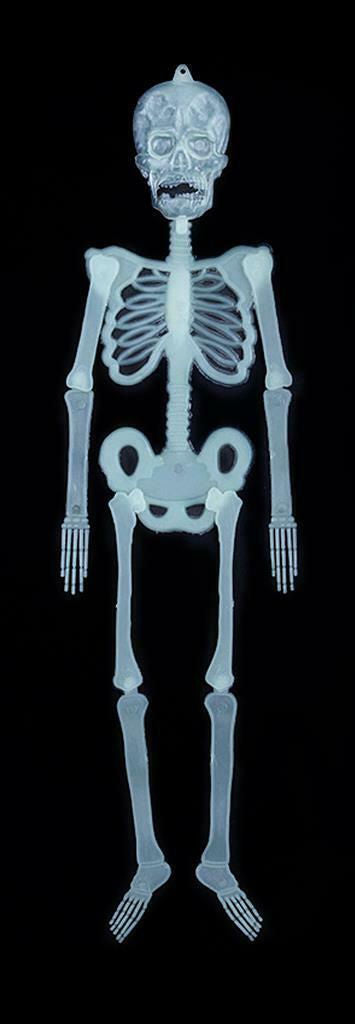 Hanging Glow In The Dark Skeleton