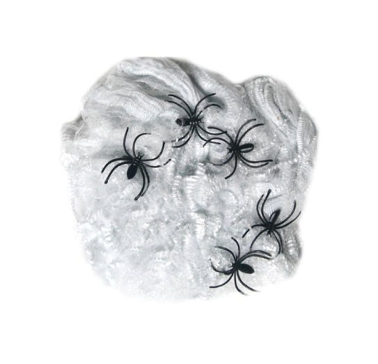 Spiders Web & 5 Spiders