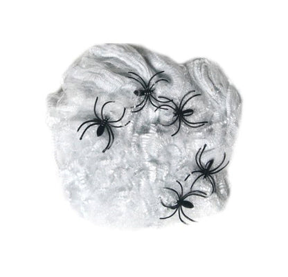 Spiders Web & 5 Spiders