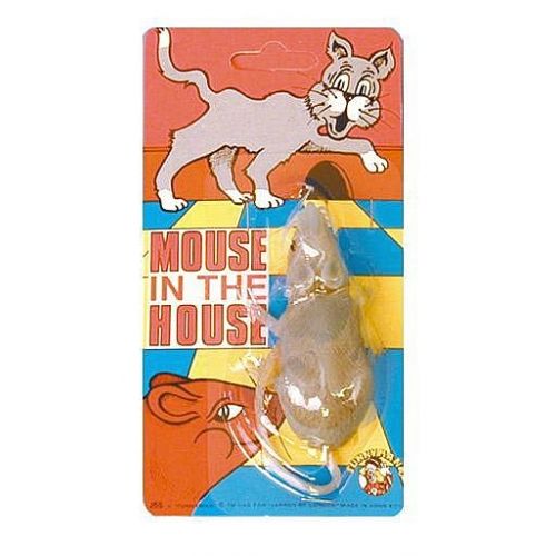 Mouse In The House