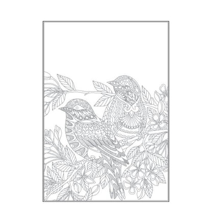 A4 Beautiful Butterflies Birds Colouring Book - Assorted Stunning Designs High Quality Relaxing