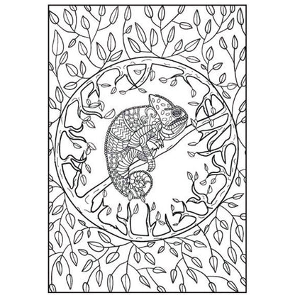 A4 Peaceful Advanced Colouring Book - Intricate Designs Relaxing Art Therapy High Quality Paper Tranquil