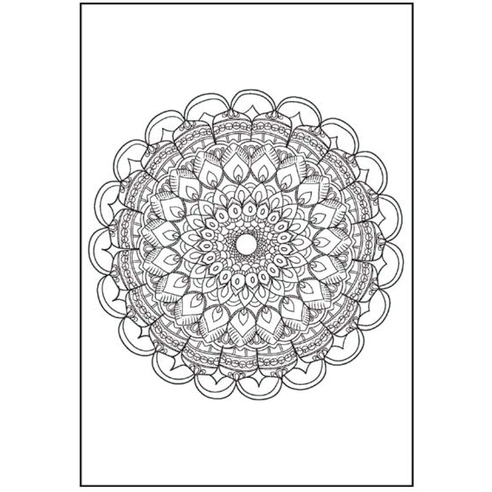 A4 Tranquil Advanced Colouring Book - Intricate Designs Relaxing Art Therapy High Quality Paper Tranquil